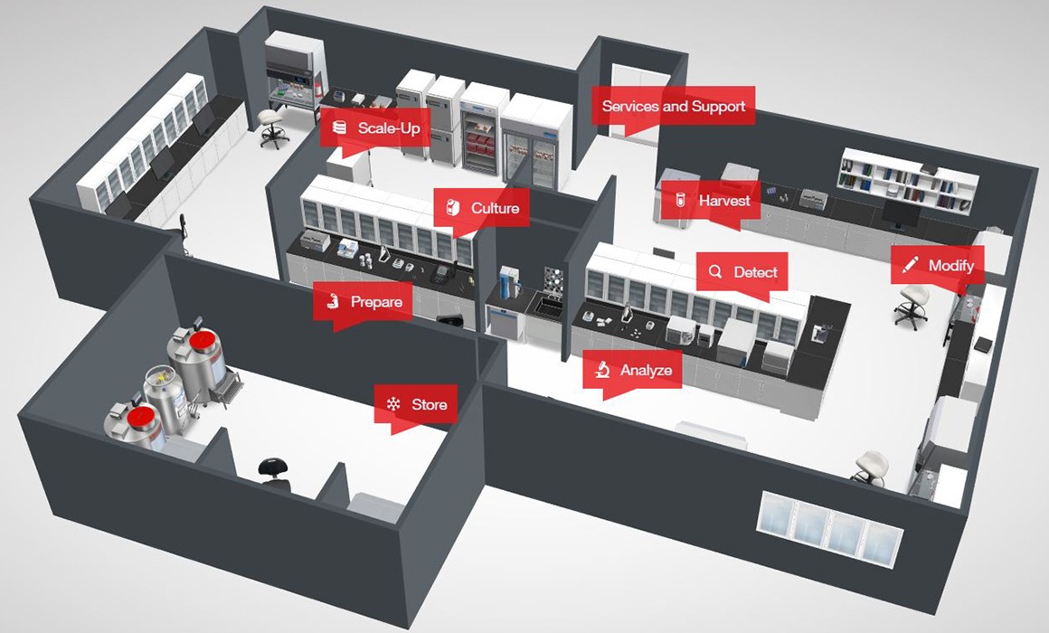 Workflow Expertise  Workflow Expertise