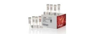 15488_pcrreagents PCR Reagents and Kits