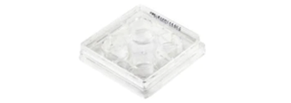 15488_banners_cell_culture_dishes Cell Culture Dishes and Flasks