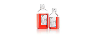 15488_banners_antibiotics Antibiotics, Buffers and Supplements