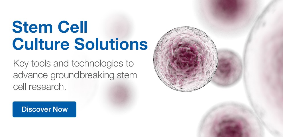 Stem Cell Therapy Solutions Stem Cell Therapy Solutions
