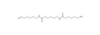 15488_polyamid Polyamides
