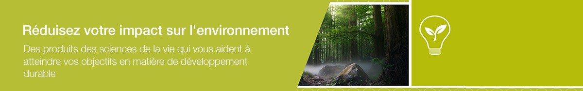 21298_WE46331-header-footprint_text_FR