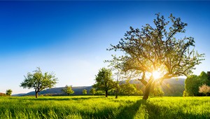 18828_buchi-environmental-workflow-name-1691 18828_buchi-environmental-workflow-name-1691