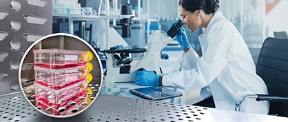 Cell Cultivation Without Contamination: How Does the CO2 Incubator Help?