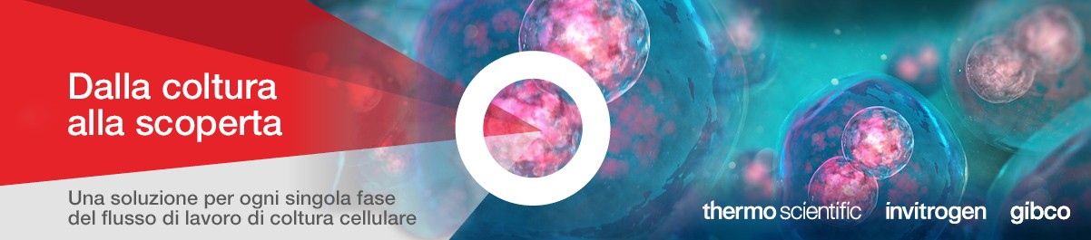 13818_Landing_Page_Banner_IT 13818_Landing_Page_Banner_IT