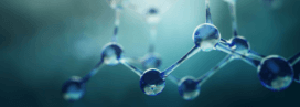 Molekularbiologische Methoden Molecular Biology
