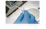 fisher-bioreagents-agarose fisher-bioreagents-agarose