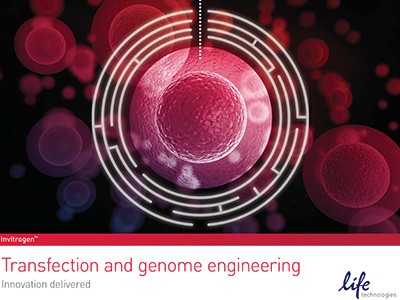 transfection transfection