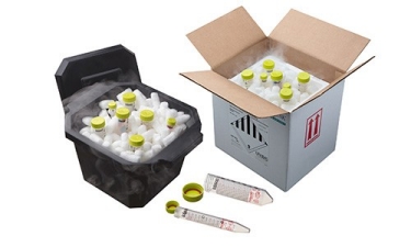 17315_Resources_P5 17315_Resources_P5