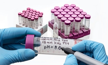 17315_Resources_P2 17315_Resources_P2